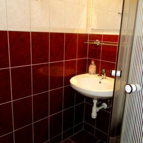 Vadrózsa Vendégház Demjén