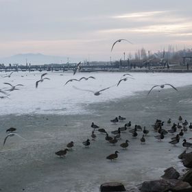 Papp Apartman Felsőörs