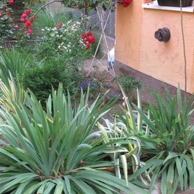 Éva Vendégszoba Tokaj