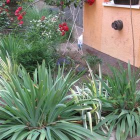 Éva Vendégszoba Tokaj