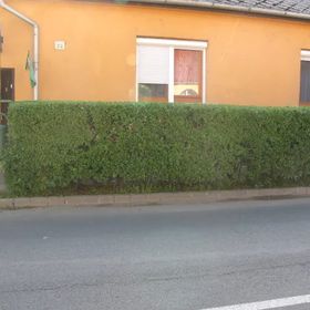 Éva Vendégszoba Tokaj