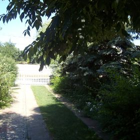 Füzesi Vendégház Veszprém