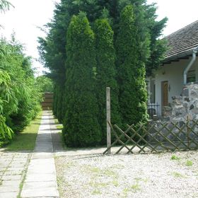 Fenyő Panzió Makó