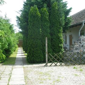 Fenyő Panzió Makó