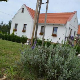 Levendula Apartman Hegykő