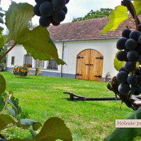 Molnárporta Szentgyörgyvölgy