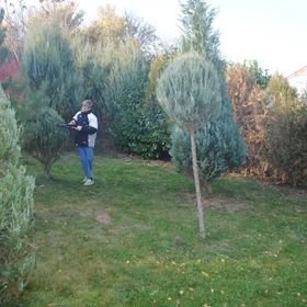 Romantika Apartman Sárvár