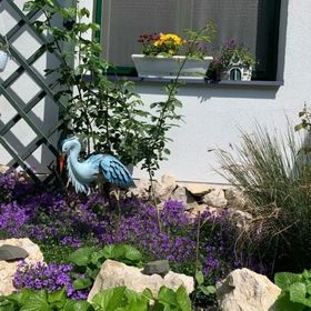 Jorgos Apartman Keszthely