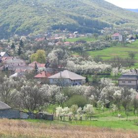 Papréte Vendégház Mályinka