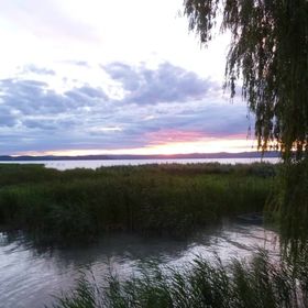 Gyöngyvirág Apartman Zamárdi