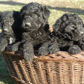 Eszti Mama Vendégháza Cserkeszőlő