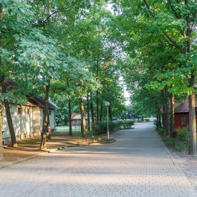 Sárkány Apartman és Kemping Nyírbátor