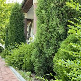 Nagymama Vendégháza Telkibánya