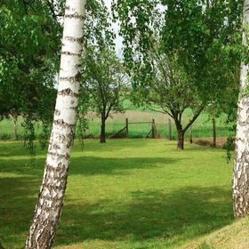 Artemisz-Vadász Vendégház Romhány