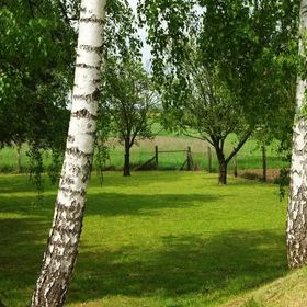 Artemisz-Vadász Vendégház Romhány