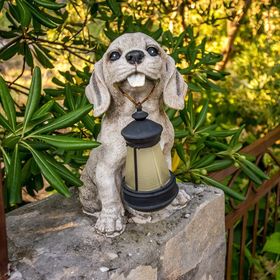 Apartmani Pavica Starigrad-Paklenica