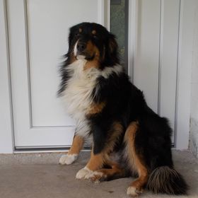 Turista-úti Vendégház Városlőd