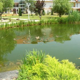 Cserke Napfény Apartman Cserkeszőlő