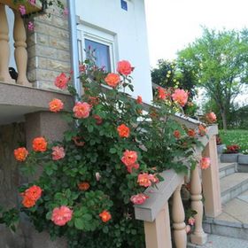 Guesthouse Sara Grabovac