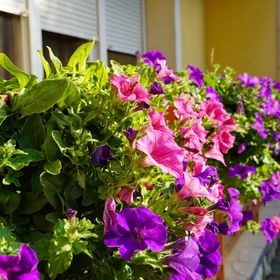 Takáts Vendégház Villány