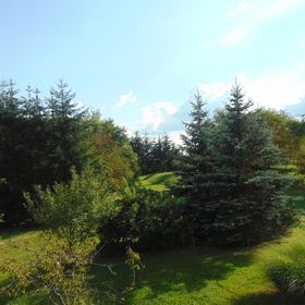 Tókert Vendégház Őriszentpéter