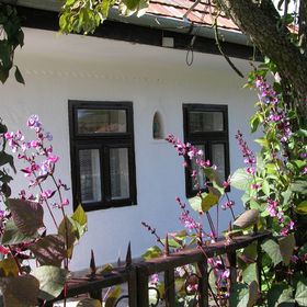 Medencés Vendégház Szandaváralja