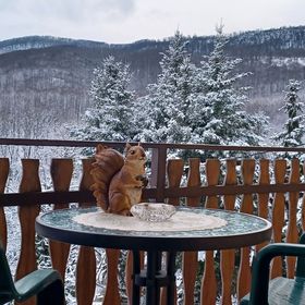 Kékes Apartman Parádsasvár