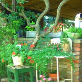 Margó Panzió Vértessomló