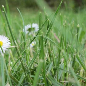 KultúrÉlet Vendégháza Kétegyháza