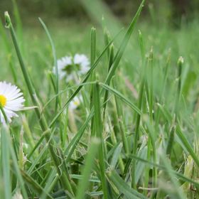 KultúrÉlet Vendégháza Kétegyháza