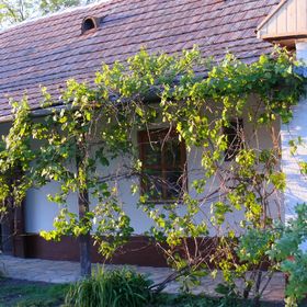 Ady Vendégház Poroszló