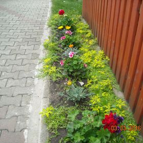 Apartament Judith Turda