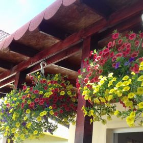 Apartament Judith Turda