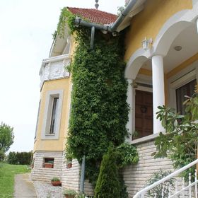 Vadszőlő Vendégház Vonyarcvashegy