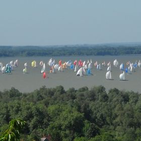 Vadszőlő Vendégház Vonyarcvashegy