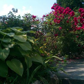 Viktória Apartmanok Zalakaros