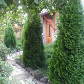 Pensiunea Péter Annamária & Géza Cristur