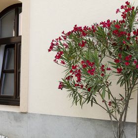 Vadszőlő Vendégház Veszprém