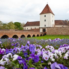 Aloe Apartman Sárvár