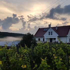 Pálos Resort Zalacsány