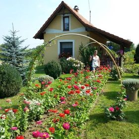 Éva Lak Kiskunmajsa