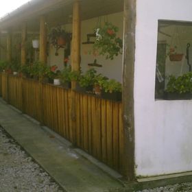 Nefelejcs Vendégház Diósviszló