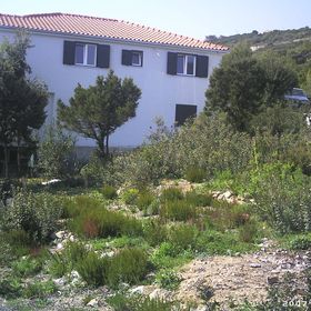 Villa Ruza Vis