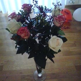 Apartmani Nimčević Rovinj