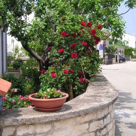 Apartmani Cerin Rovinj