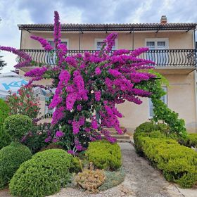 Apartman Zorić Biograd na Moru