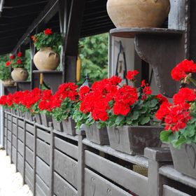 Szekér Fogadó és Étterem Bátonyterenye