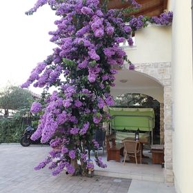 Apartmani Vesna Vodice