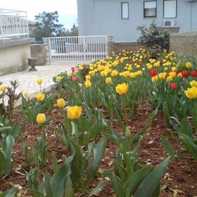 Apartman Kabalin Novi Vinodolski