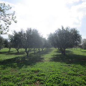 Kuća Božac Vodnjan